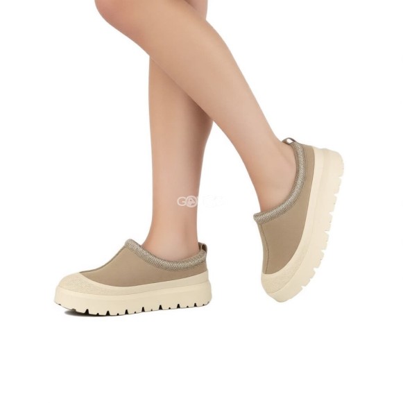 Ugg Tazz Hybrid Mustard Seed