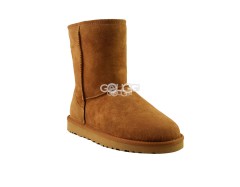 Classic Short Chestnut