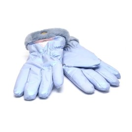 Ugg Gloves Blue
